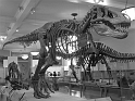 Kids-NYC_AMNH_3-2014 (47)